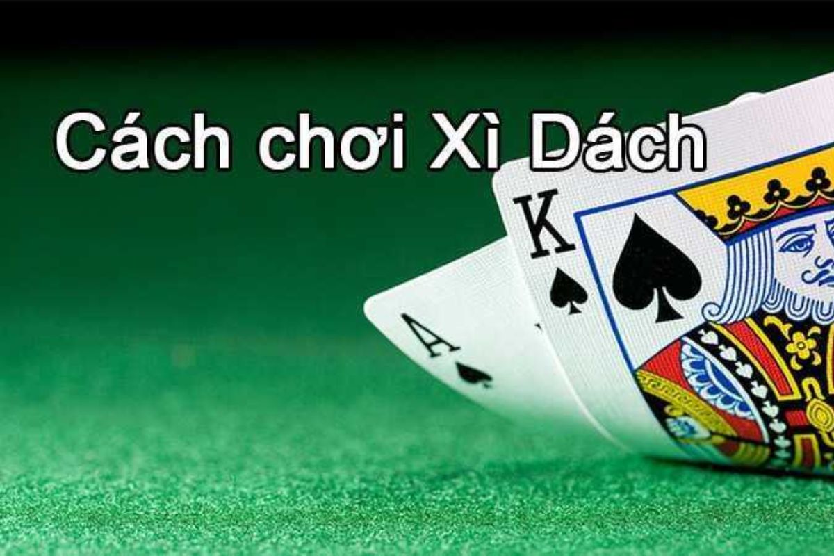 hướng dẫn cách chơi xì dách cho người mới